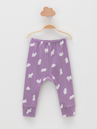 набор брюки