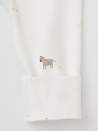 набор брюки